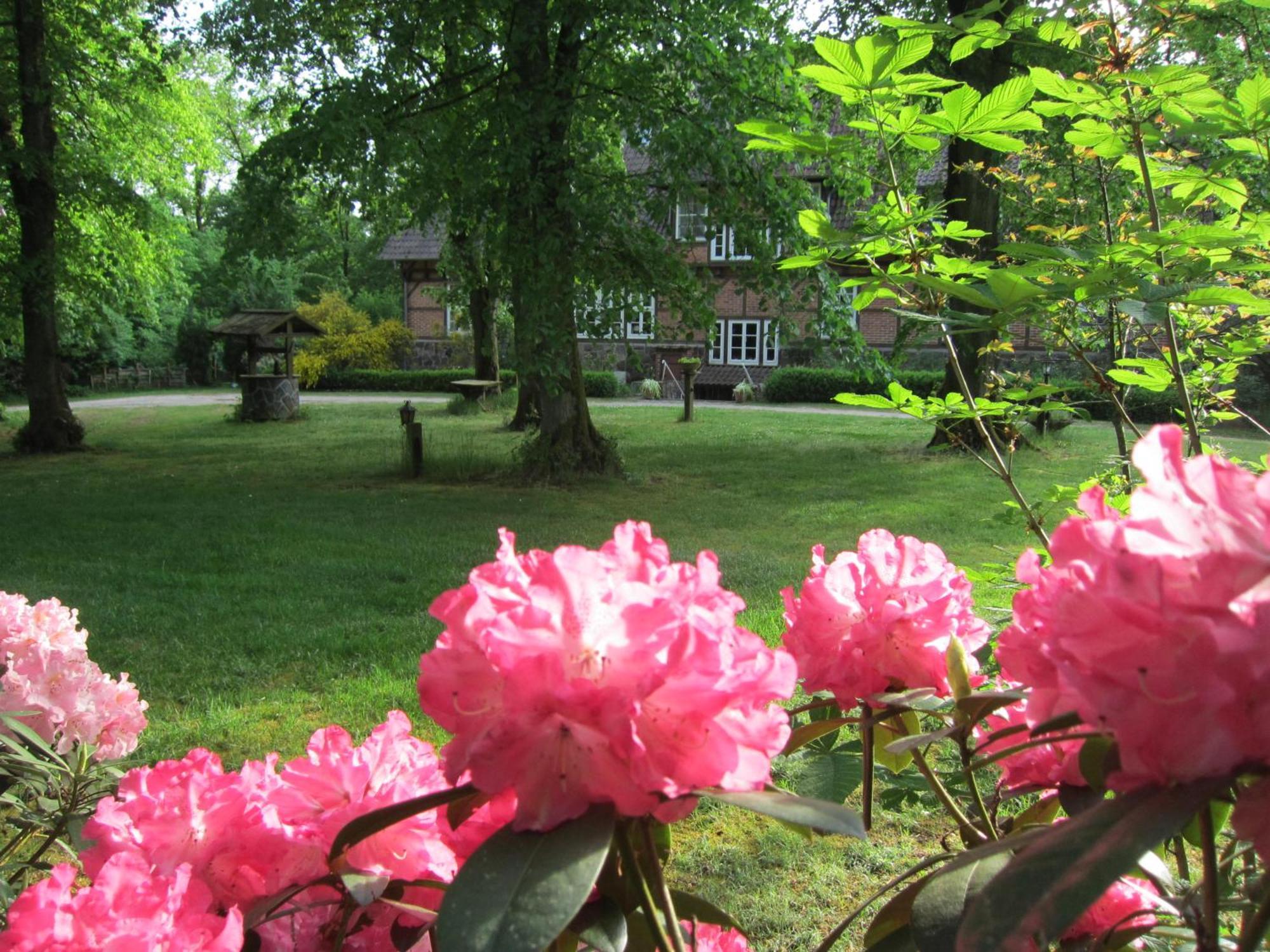 Haus Heidetal Bed & Breakfast Bispingen Ngoại thất bức ảnh