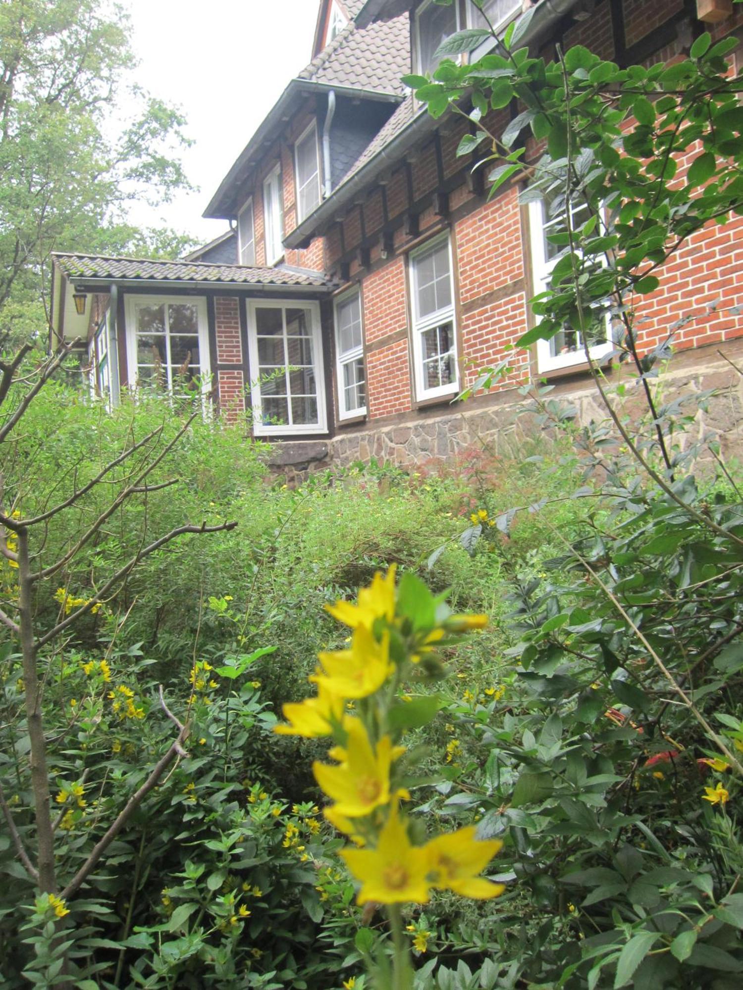 Haus Heidetal Bed & Breakfast Bispingen Ngoại thất bức ảnh